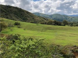  Land for sale in Jamundi, Valle Del Cauca, Jamundi