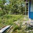  Grundstück zu verkaufen in Godong, Jawa Tengah, Godong, Grobogan, Jawa Tengah