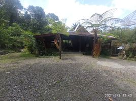 2 Schlafzimmer Haus zu verkaufen in Seyegan, Yogyakarta, Seyegan