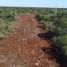  Terreno (Parcela) en venta en Uman, Yucatán, Uman
