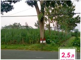  Terreno (Parcela) en venta en Pakis, East Jawa, Pakis