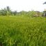  Land for sale in Tampak Siring, Gianyar, Tampak Siring