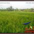  Land for sale in Tampak Siring, Gianyar, Tampak Siring