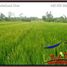  Land for sale in Tampak Siring, Gianyar, Tampak Siring