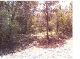  Grundstück zu verkaufen in Arteaga, Coahuila, Arteaga