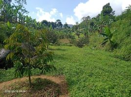  Land for sale in Cariu, Bogor, Cariu