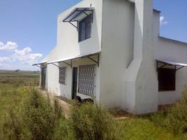  Land for sale in Lagoa Mirim, Rio Grande do Sul, Sem Nome, Lagoa Mirim