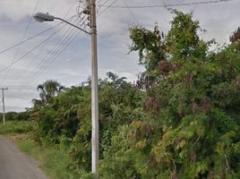  Terreno (Parcela) en venta en Yaxkukul, Yucatán, Yaxkukul