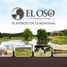  Land for sale in Durango, Durango, Durango, Durango