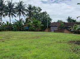  Land for sale in Yogyakarta, Pengasih, Kulon Progo, Yogyakarta