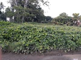  Land for sale in Davao del Sur, Davao, Davao City, Davao del Sur