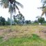  Land for sale in Bogor, West Jawa, Ciawi, Bogor