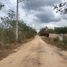  Terreno (Parcela) en venta en Conkal, Yucatán, Conkal, Yucatán