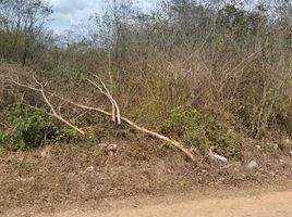  Terreno (Parcela) en venta en Conkal, Yucatán, Conkal, Yucatán