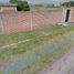  Terreno (Parcela) en venta en Temixco, Morelos, Temixco