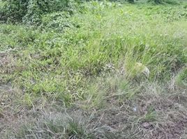  Land for sale in Davao del Sur, Davao, Davao City, Davao del Sur