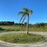  Land for sale in Exaltacion De La Cruz, Buenos Aires, Exaltacion De La Cruz