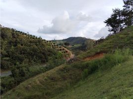  Land for sale in San Vicente, Antioquia, San Vicente