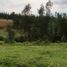  Land for sale in Ruminahui, Pichincha, Sangolqui, Ruminahui