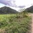  Land for sale in Malacatos Valladolid, Loja, Malacatos Valladolid, Loja, Loja