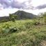  Land for sale in Malacatos Valladolid, Loja, Malacatos Valladolid, Loja, Loja