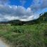 Land for sale in Malacatos Valladolid, Loja, Malacatos Valladolid, Loja, Loja