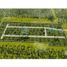  Land for sale in Mococha, Yucatan, Mococha