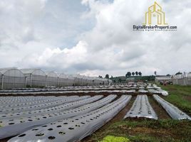  Grundstück zu verkaufen in Lembang, West Jawa, Lembang, Bandung