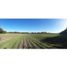  Land for sale in Capital, Cordoba, Capital
