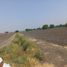  Land for sale in Salvatierra, Guanajuato, Salvatierra