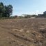  Land for sale in Yogyakarta, Kalasan, Sleman, Yogyakarta