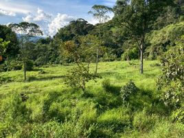  Terrain for sale in Barbosa, Antioquia, Barbosa