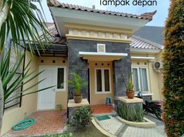 2 Schlafzimmer Haus zu verkaufen in Tambaksari, East Jawa, Tambaksari