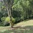  Land for sale in Pereira, Risaralda, Pereira