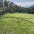  Land for sale in Pereira, Risaralda, Pereira