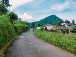  Land for sale in Ngargoyoso, Karanganyar, Ngargoyoso