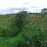  Land for sale in Patino, Formosa, Patino, Formosa