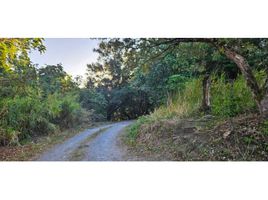  Terrain for sale in Palmira, Boquete, Palmira