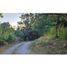  Land for sale in Palmira, Chiriqui, Palmira, Boquete