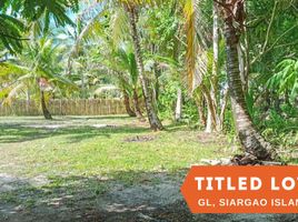  Terrain for sale in Surigao del Norte, Caraga, General Luna, Surigao del Norte