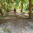  Terrain for sale in Surigao del Norte, Caraga, General Luna, Surigao del Norte