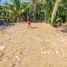  Terrain for sale in Surigao del Norte, Caraga, General Luna, Surigao del Norte
