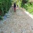  Terrain for sale in Surigao del Norte, Caraga, General Luna, Surigao del Norte