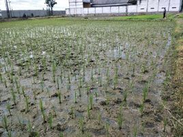 Land for sale in Cakung, Jakarta, Cakung