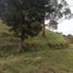  Land for sale in Sabaneta, Antioquia, Sabaneta