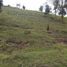  Land for sale in Sabaneta, Antioquia, Sabaneta