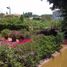 5 Habitación Casa en venta en Cuernavaca, Morelos, Cuernavaca