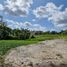  Terreno (Parcela) en venta en Canggu, Bali, Canggu, Badung