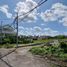  Terreno (Parcela) en venta en Canggu, Bali, Canggu, Badung