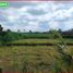  Land for sale in Klungkung, Bali, Klungkung, Klungkung